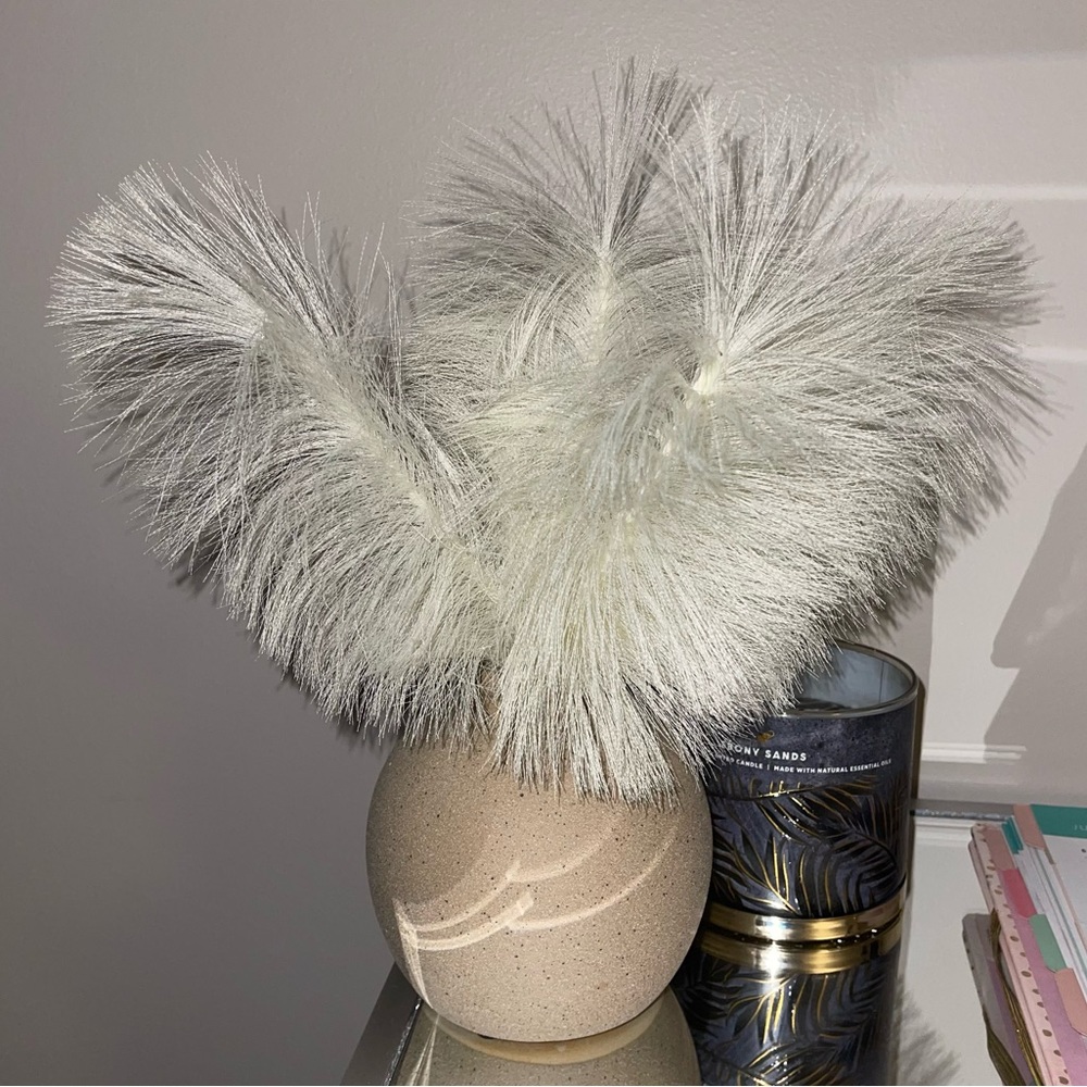 Beige feather vase❤️